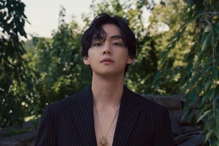 V BTS. (soompi)